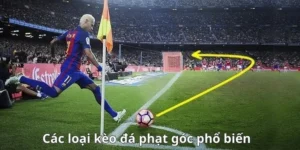 Tầm Quan Trọng Của Kèo Phạt Góc Bóng Đá Trong Phân Tích Chiến Thuật
