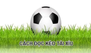 Chiến Thuật Đầu Tư Kèo Tài Xỉu Hiệp 1 Hiệu Quả Nhất