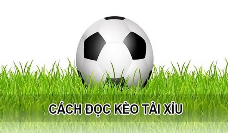 Chiến Thuật Đầu Tư Kèo Tài Xỉu Hiệp 1 Hiệu Quả Nhất
