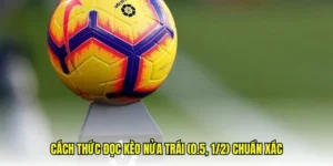 Kèo Chấp 0.5 Và Những Chiến Thuật Phân Tích Chuyên Sâu