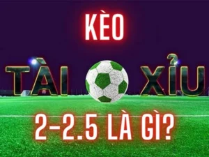 Cách Đọc Kèo 2.25 Và Kinh Nghiệm Phân Tích Dành Cho Chuyên Gia