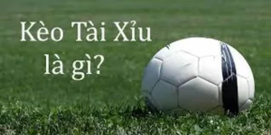 Chiến Thuật Đầu Tư Kèo Tài Xỉu Tổng Bàn Thắng Hiệu Quả