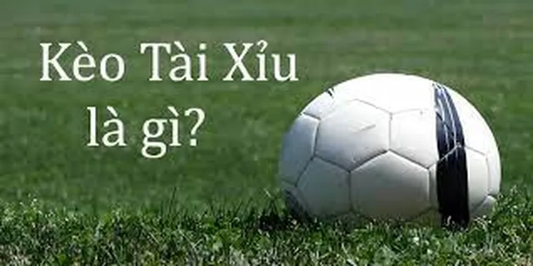 Chiến Thuật Đầu Tư Kèo Tài Xỉu Tổng Bàn Thắng Hiệu Quả