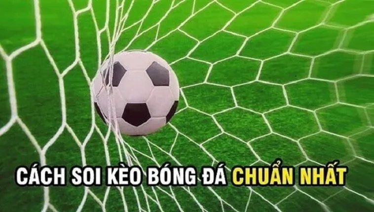 Kèo Rung Trong Bóng Đá Và Những Bí Quyết Chiến Thắng